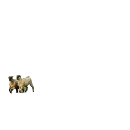 animal, creature, furniture, pixel art transparent PNG cut-out