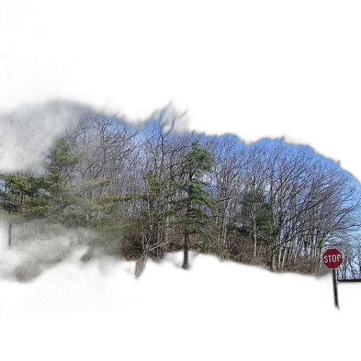 tree, umbrella, car, sword transparent PNG cut-out