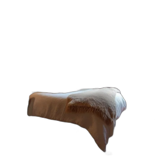 furniture, hat, crown, shoes transparent PNG cut-out