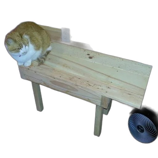 furniture, staff, animal, weapon transparent PNG cut-out