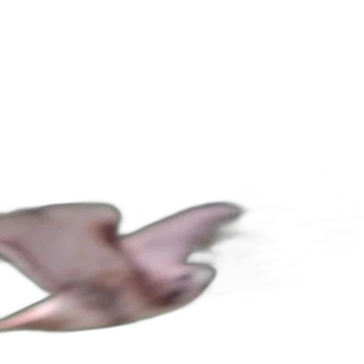 creature, animal, dragon, weapon transparent PNG cut-out