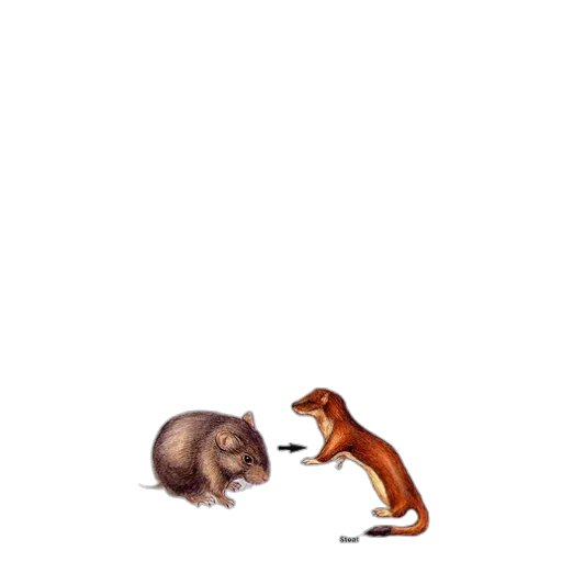 animal, creature, food, pixel art transparent PNG cut-out