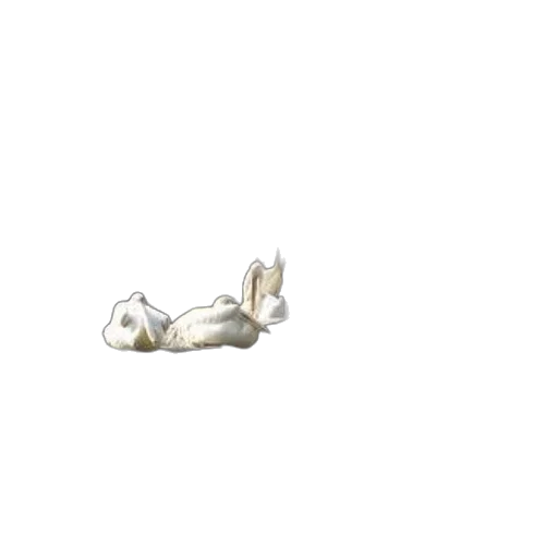 animal, creature, robot, shoes transparent PNG cut-out