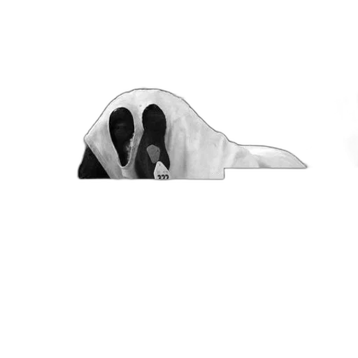 shoes, mask, umbrella, hair transparent PNG cut-out