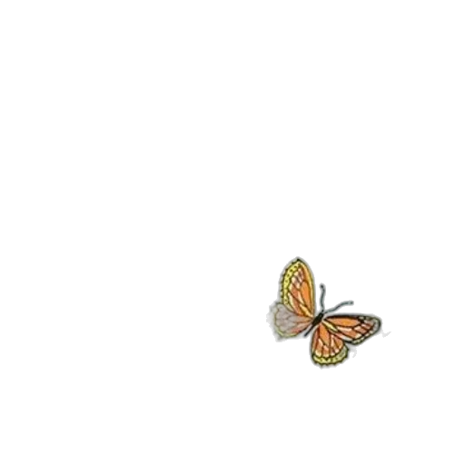 animal, flower, creature, jewelry transparent PNG cut-out