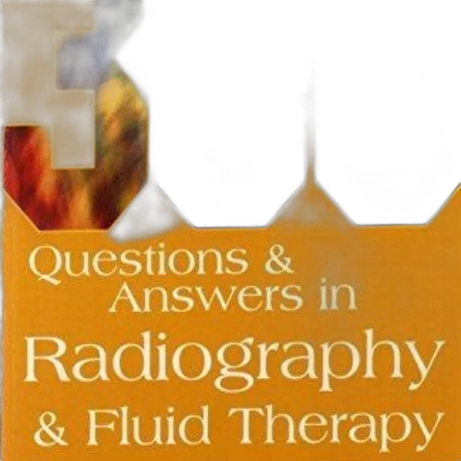 book, cover, title, 300 transparent PNG cut-out