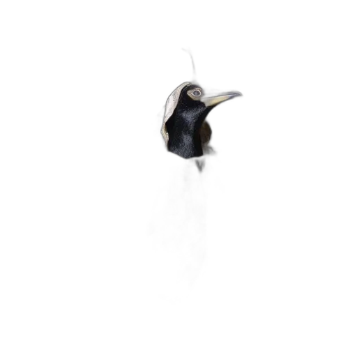 animal, jewelry, creature, staff transparent PNG cut-out