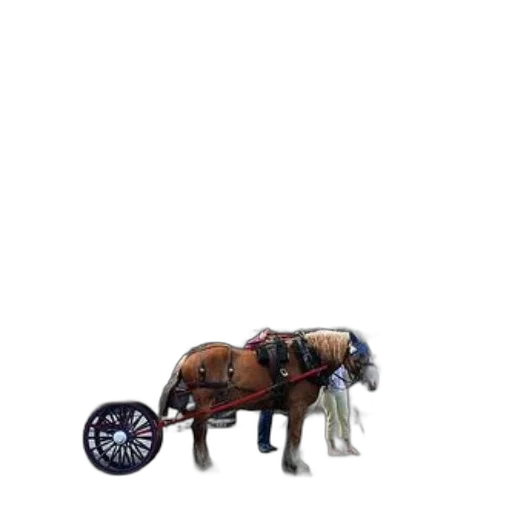 car, animal, robot, furniture transparent PNG cut-out