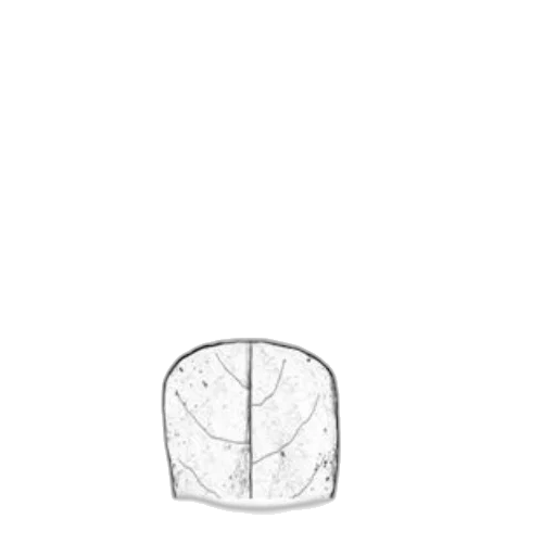crown, hat, umbrella, jacket transparent PNG cut-out