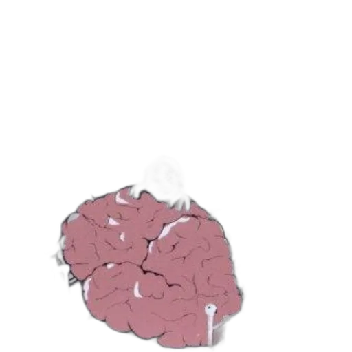 crown, hair, hat, flower transparent PNG cut-out