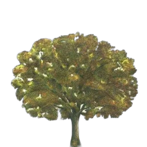 tree, crown, staff, jewelry transparent PNG cut-out