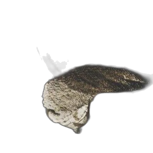 hat, animal, hair, staff transparent PNG cut-out