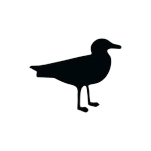 animal, staff, hat, crown transparent PNG cut-out