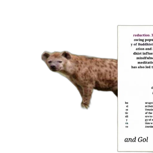 animal, creature, hyena, stands transparent PNG cut-out