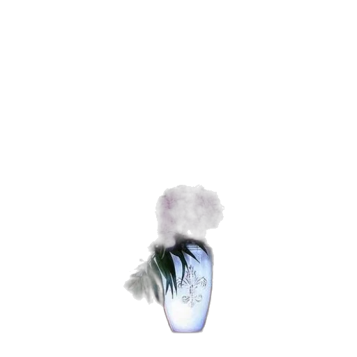 hair, flower, shoes, bottle transparent PNG cut-out