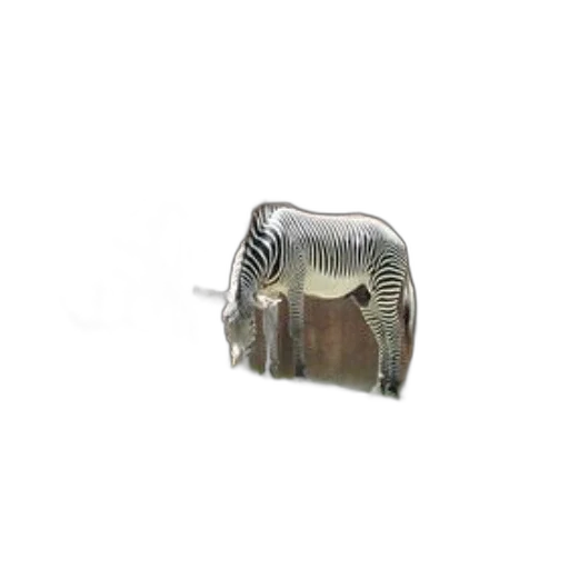 jewelry, animal, furniture, 3d render transparent PNG cut-out
