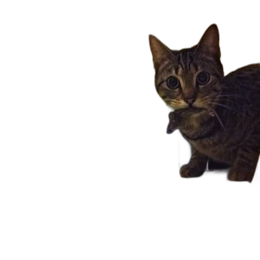 animal, creature, staff, weapon transparent PNG cut-out
