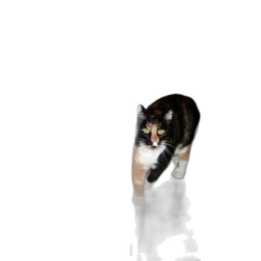 animal, creature, staff, robot transparent PNG cut-out