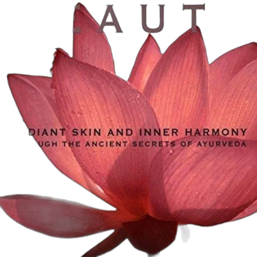book, cover, lotus, flower transparent PNG cut-out