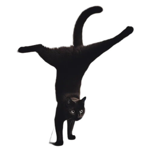 staff, animal, creature, hat transparent PNG cut-out