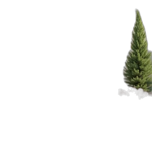 tree, hat, hair, 3d render transparent PNG cut-out