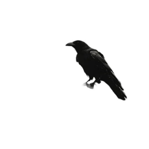 animal, creature, staff, jewelry transparent PNG cut-out