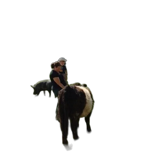 animal, creature, woman, child transparent PNG cut-out