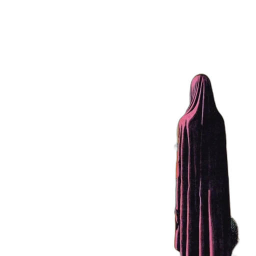 dress, jacket, staff, umbrella transparent PNG cut-out