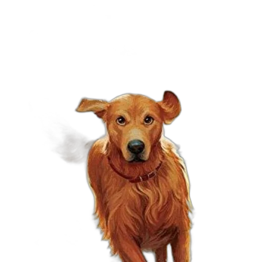 animal, staff, creature, face transparent PNG cut-out