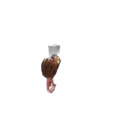 hair, food, umbrella, staff transparent PNG cut-out