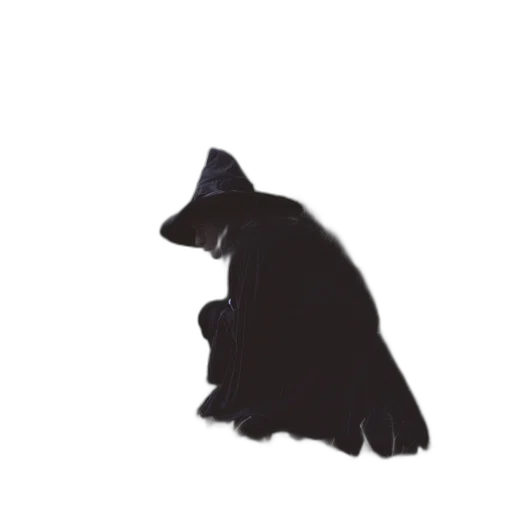 animal, staff, creature, hat transparent PNG cut-out