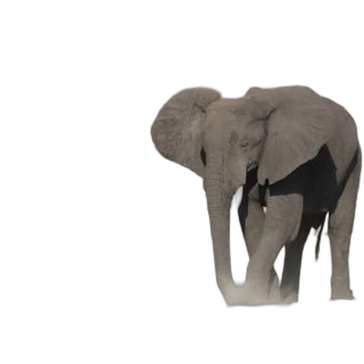animal, creature, staff, 3d render transparent PNG cut-out