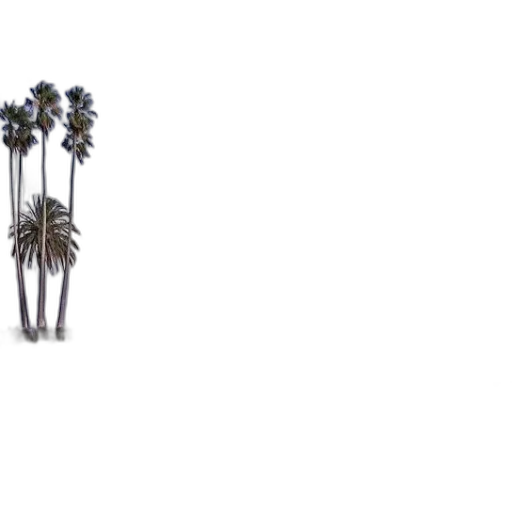 tree, umbrella, weapon, jacket transparent PNG cut-out