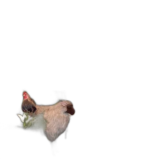animal, food, flower, creature transparent PNG cut-out