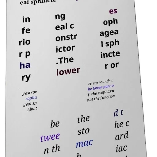 pastel, image, medical, diagram transparent PNG cut-out