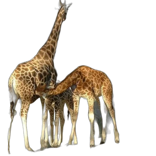 animal, creature, staff, 3d render transparent PNG cut-out