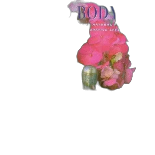 flower, jewelry, bottle, food transparent PNG cut-out