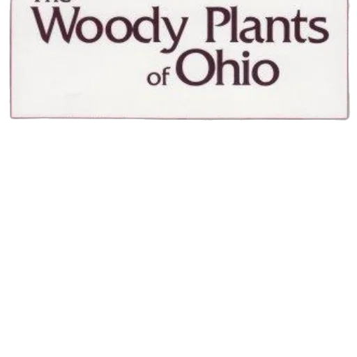 staff, woody, plants, ohio transparent PNG cut-out
