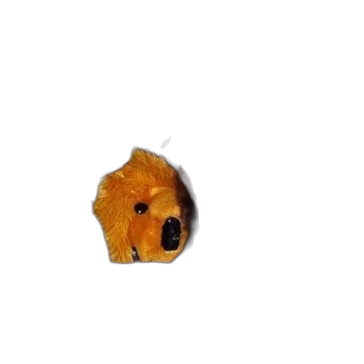 food, animal, mask, staff transparent PNG cut-out