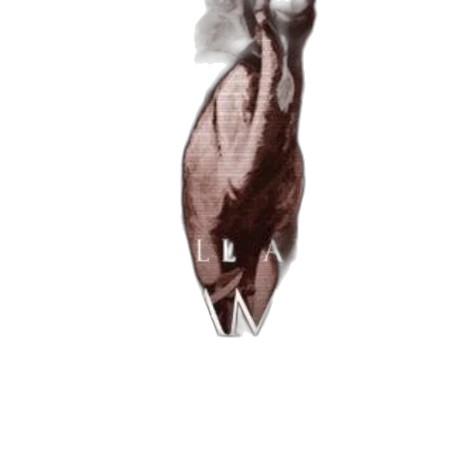 animal, creature, hair, dress transparent PNG cut-out