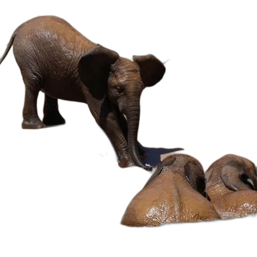 animal, 3d render, elephants, playing transparent PNG cut-out