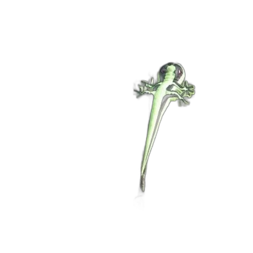 jewelry, staff, flower, weapon transparent PNG cut-out