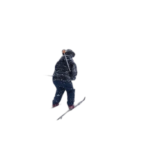 staff, jacket, animal, sword transparent PNG cut-out