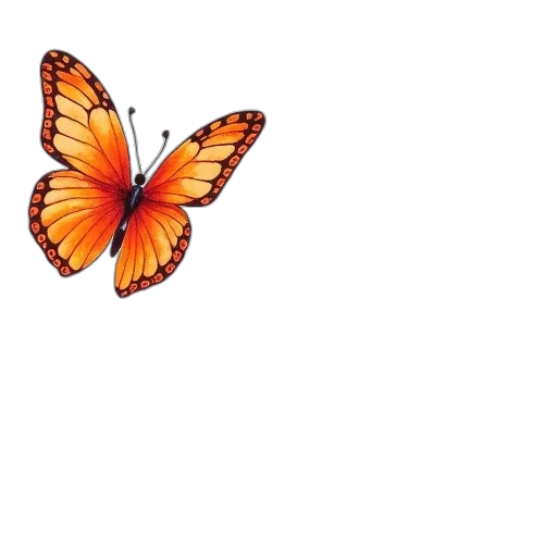 flower, animal, crown, umbrella transparent PNG cut-out