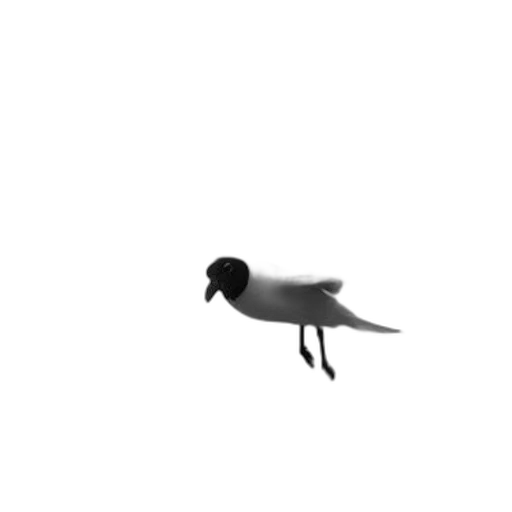 animal, creature, staff, hat transparent PNG cut-out