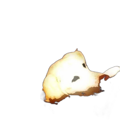 food, mask, face, hair transparent PNG cut-out