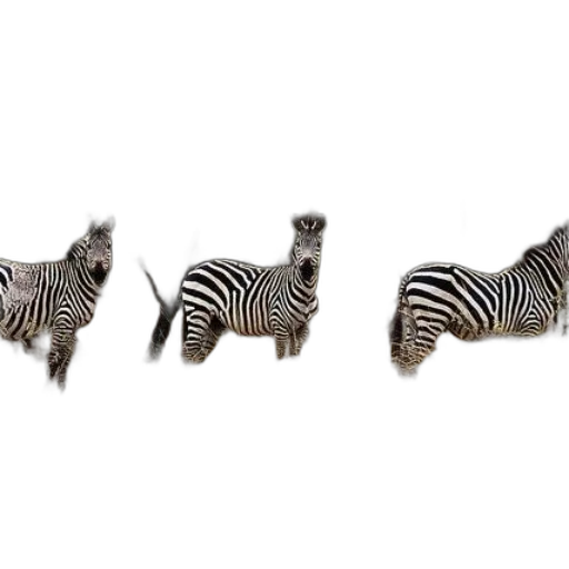animal, creature, shoes, jewelry transparent PNG cut-out
