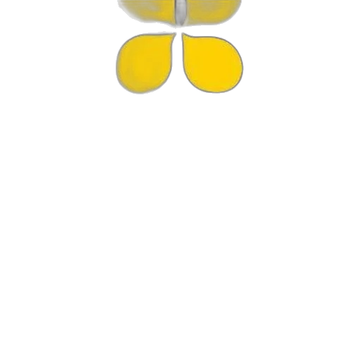 flower, umbrella, crown, jewelry transparent PNG cut-out