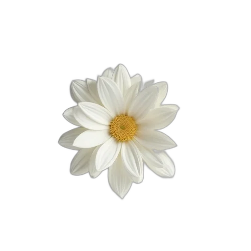 flower, jewelry, crown, staff transparent PNG cut-out