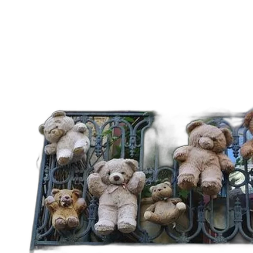 collection, teddy, bears, sitting transparent PNG cut-out